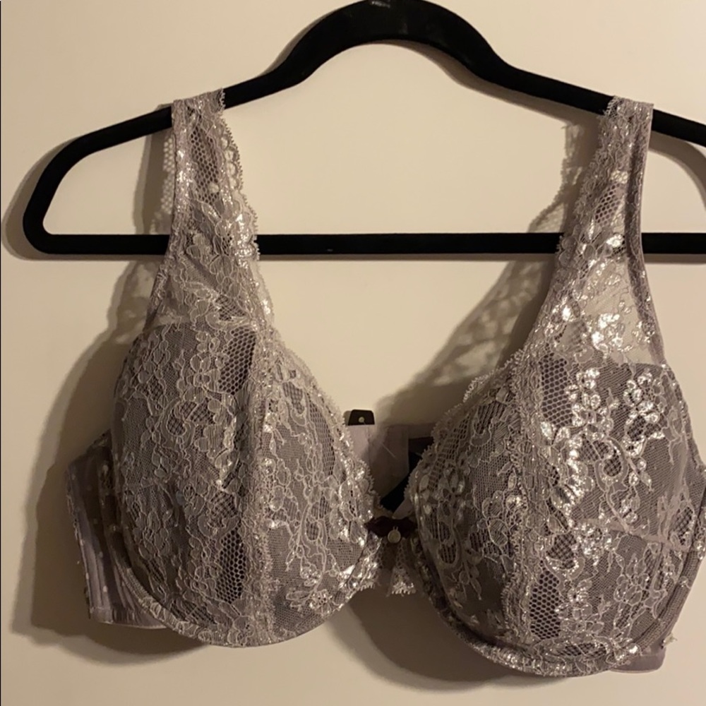 Bra 40DD Shiny silver/gray NWT